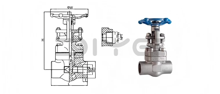 Forged Steel F304 F316 Stainless Steel Flanged Gate Valve